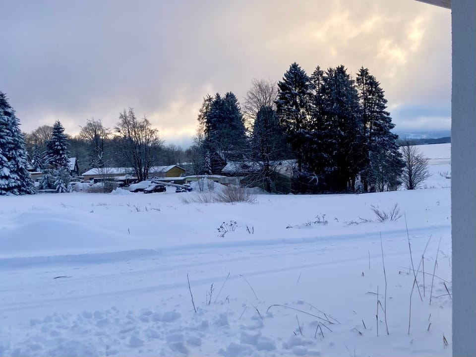 View from property