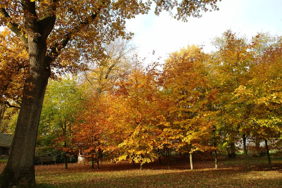 Miscellaneous