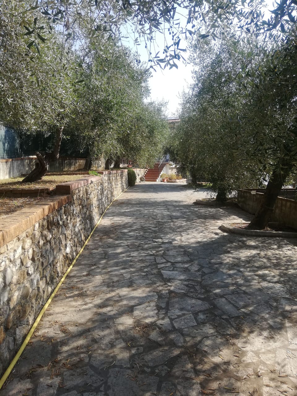 IL VIALETTO DI ACCESSO