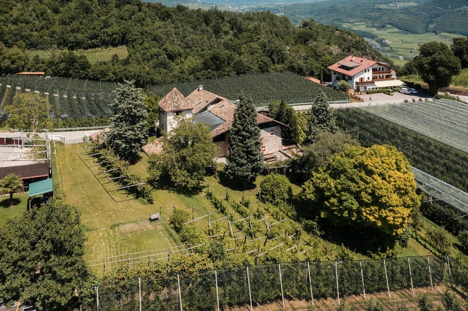 An aerial view over the Wieshof