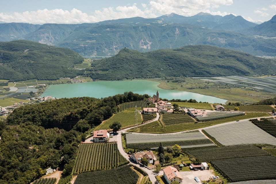 Vineyards and Lake Kaltern in the surroundings