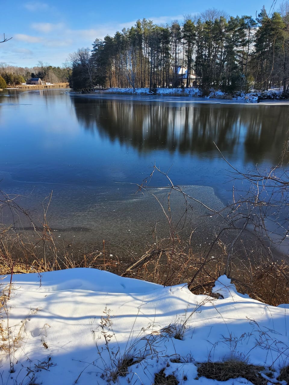 River Views 