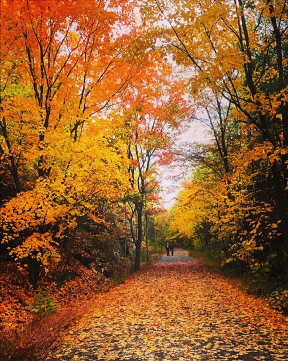 Autumn in the Catskills