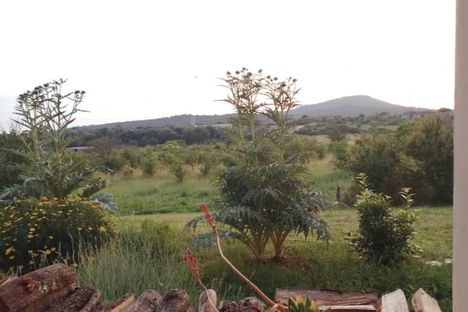 Il giardino 