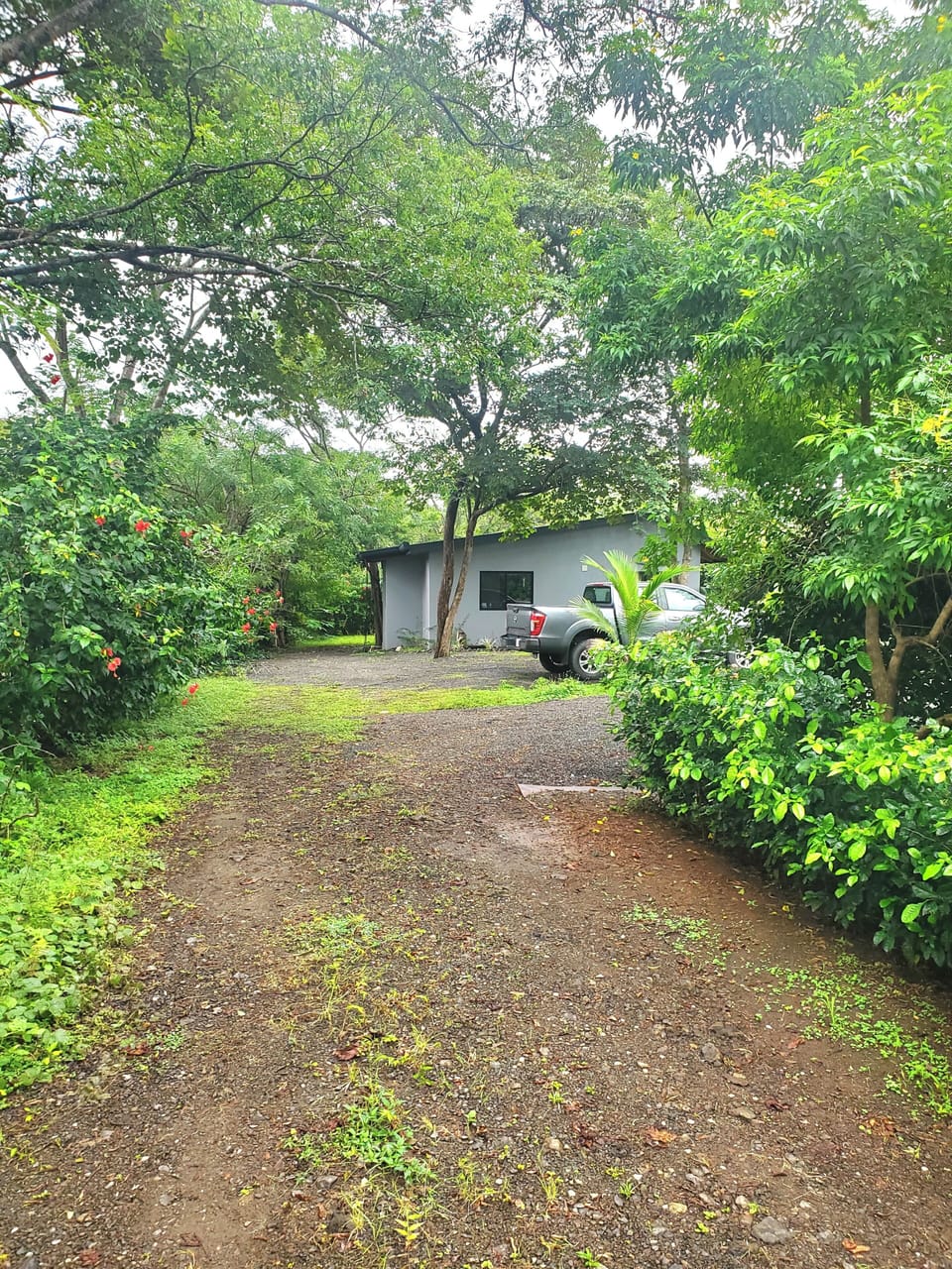 Driveway to Casa Surf Heaven