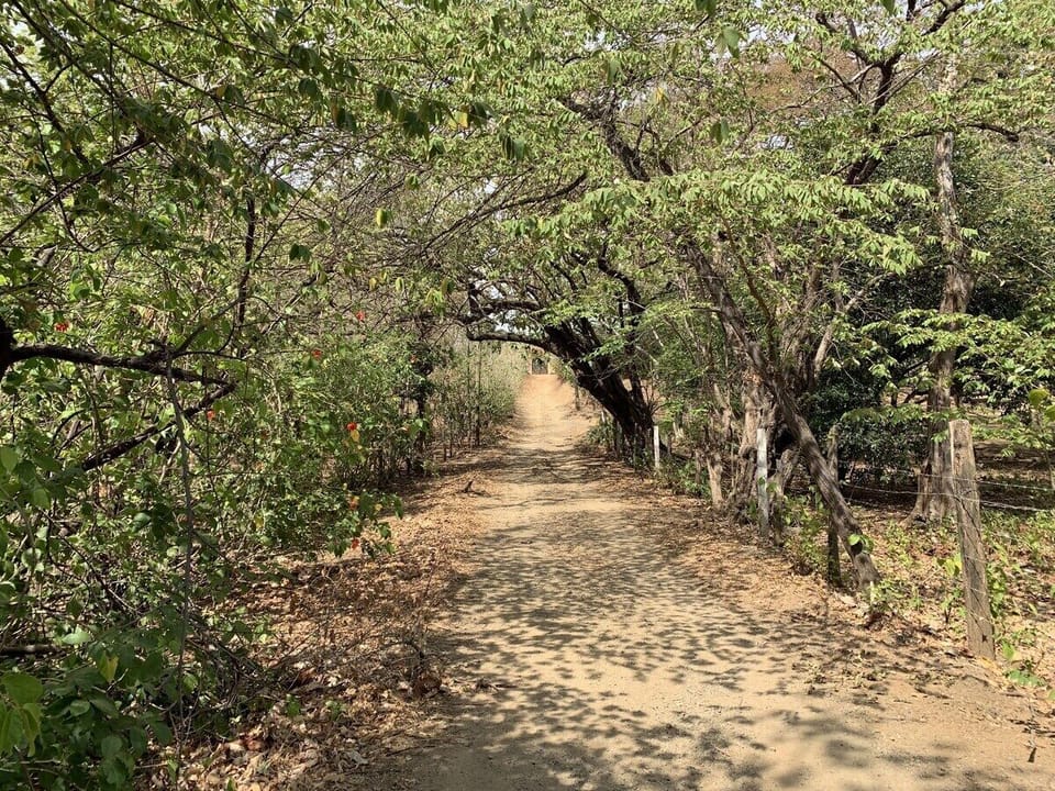 Walk to Beach