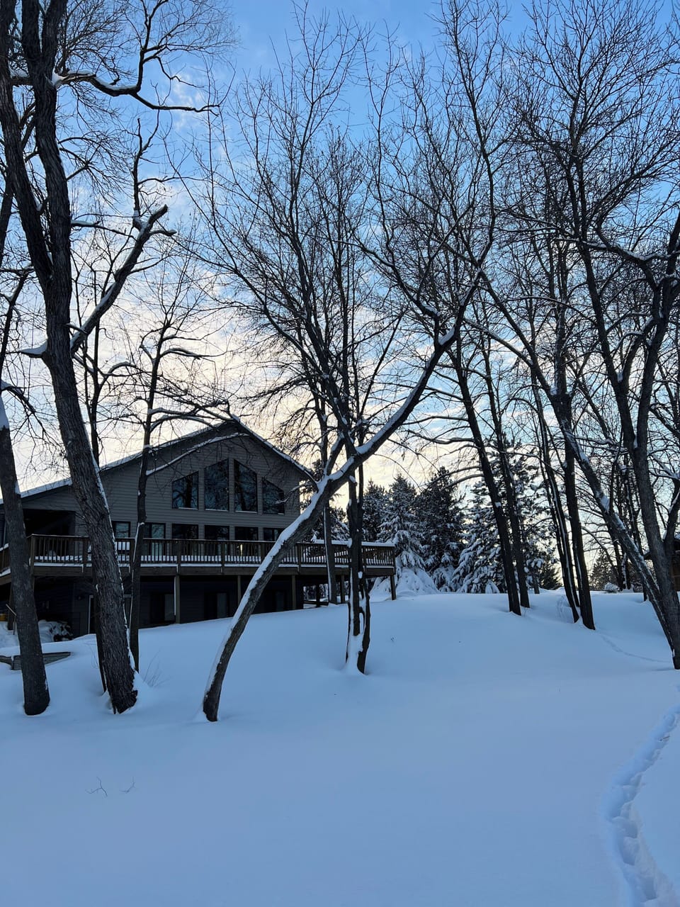 North side of cabin