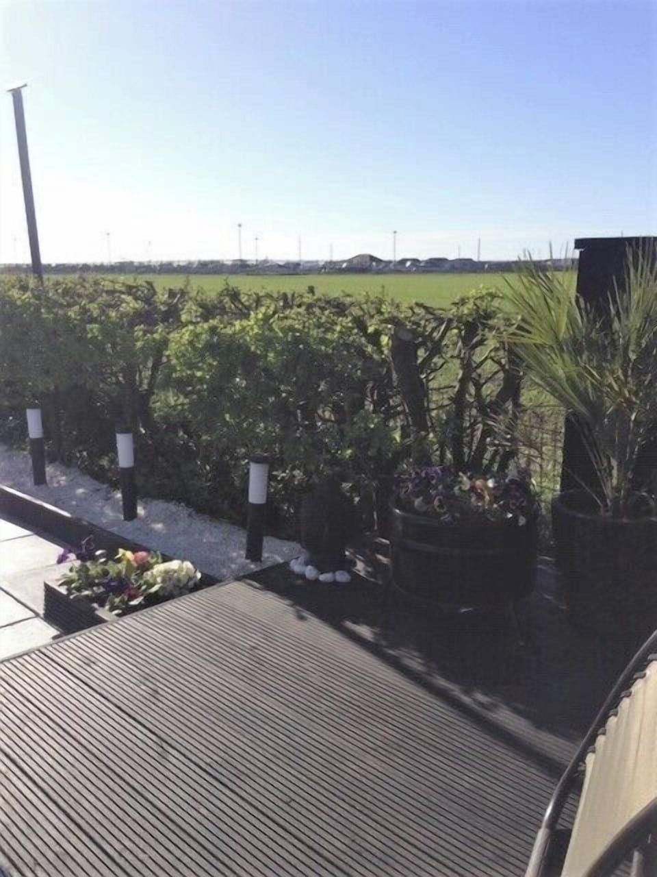 Image 11