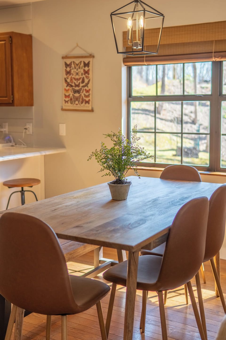 Sunshine in the kitchen