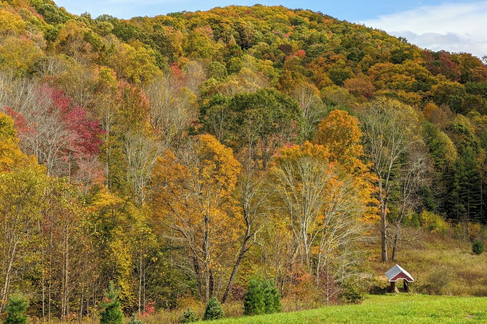 Surrounding Area | Forested Views & Hiking Trails