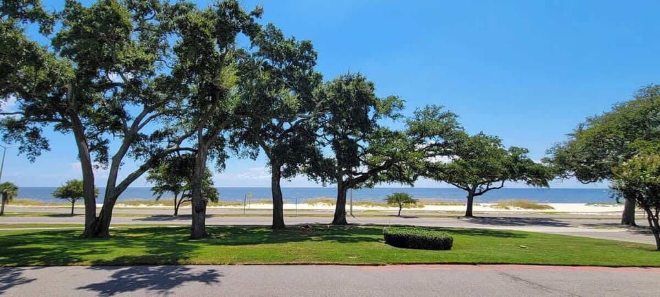 View from Cyprus Cove