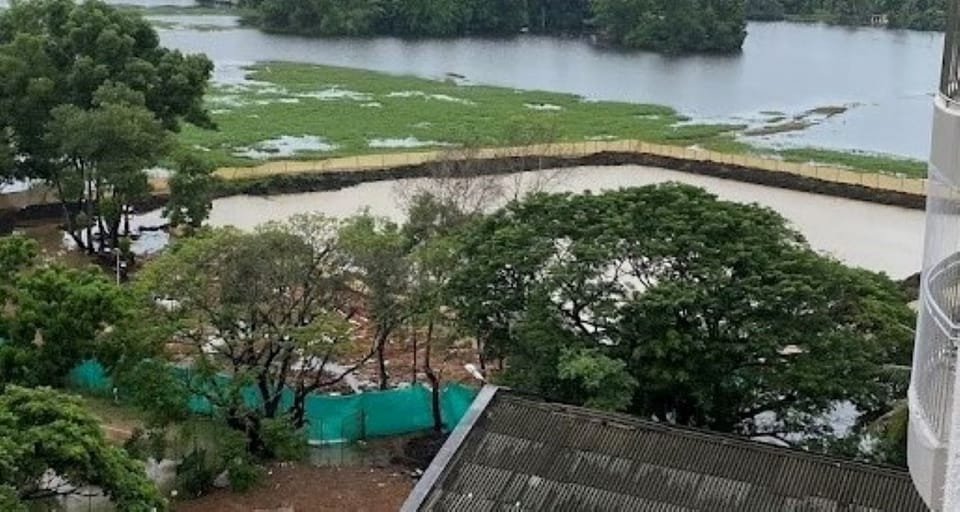 View from property