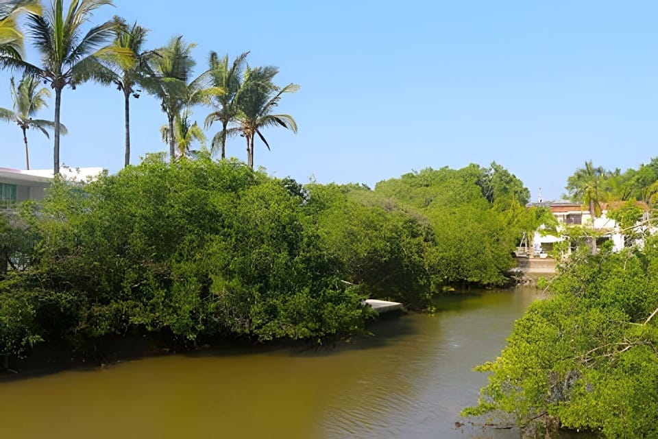 River view,Bird's eye view