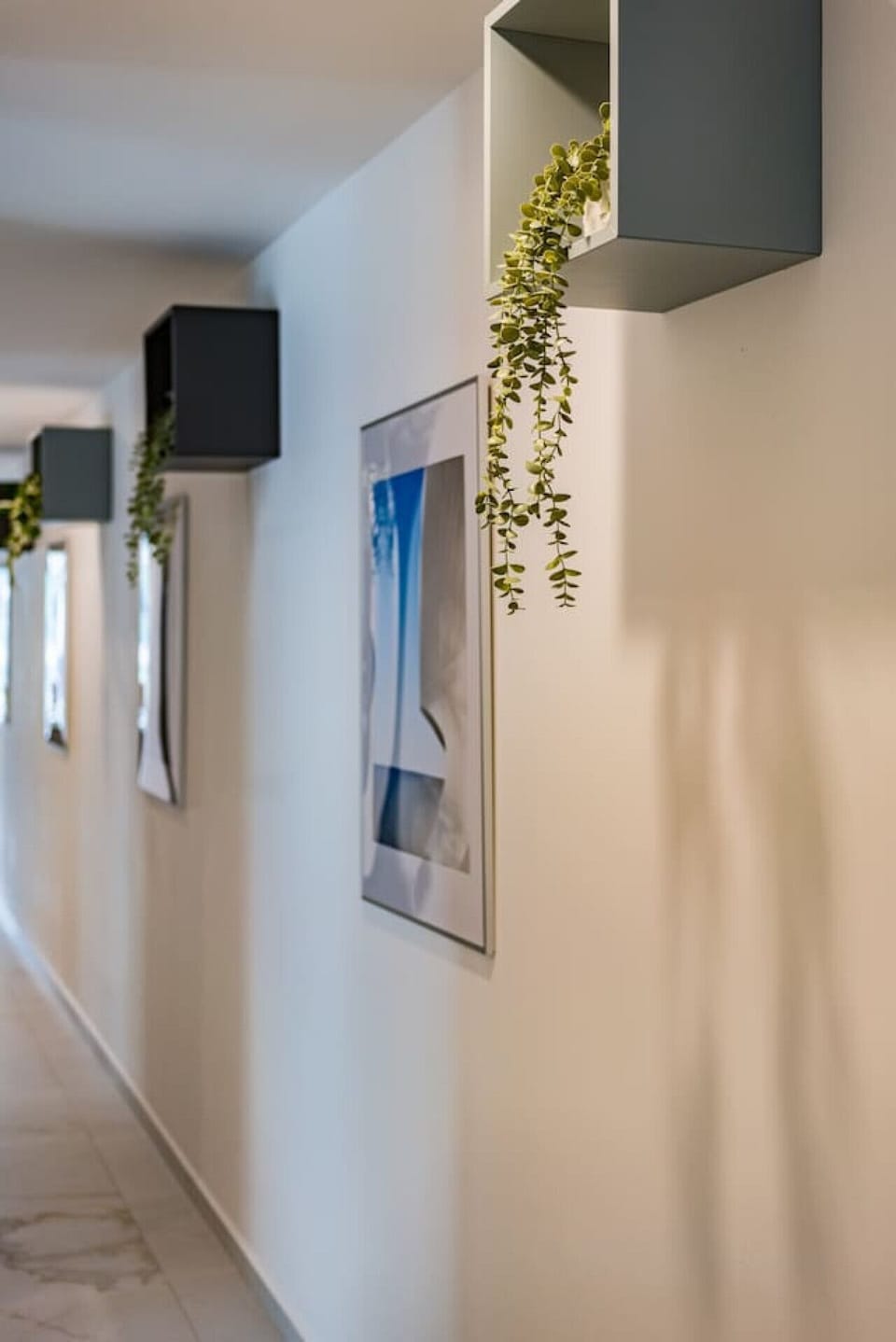Hallway with contemporary decor and art, leading to the main living area.
