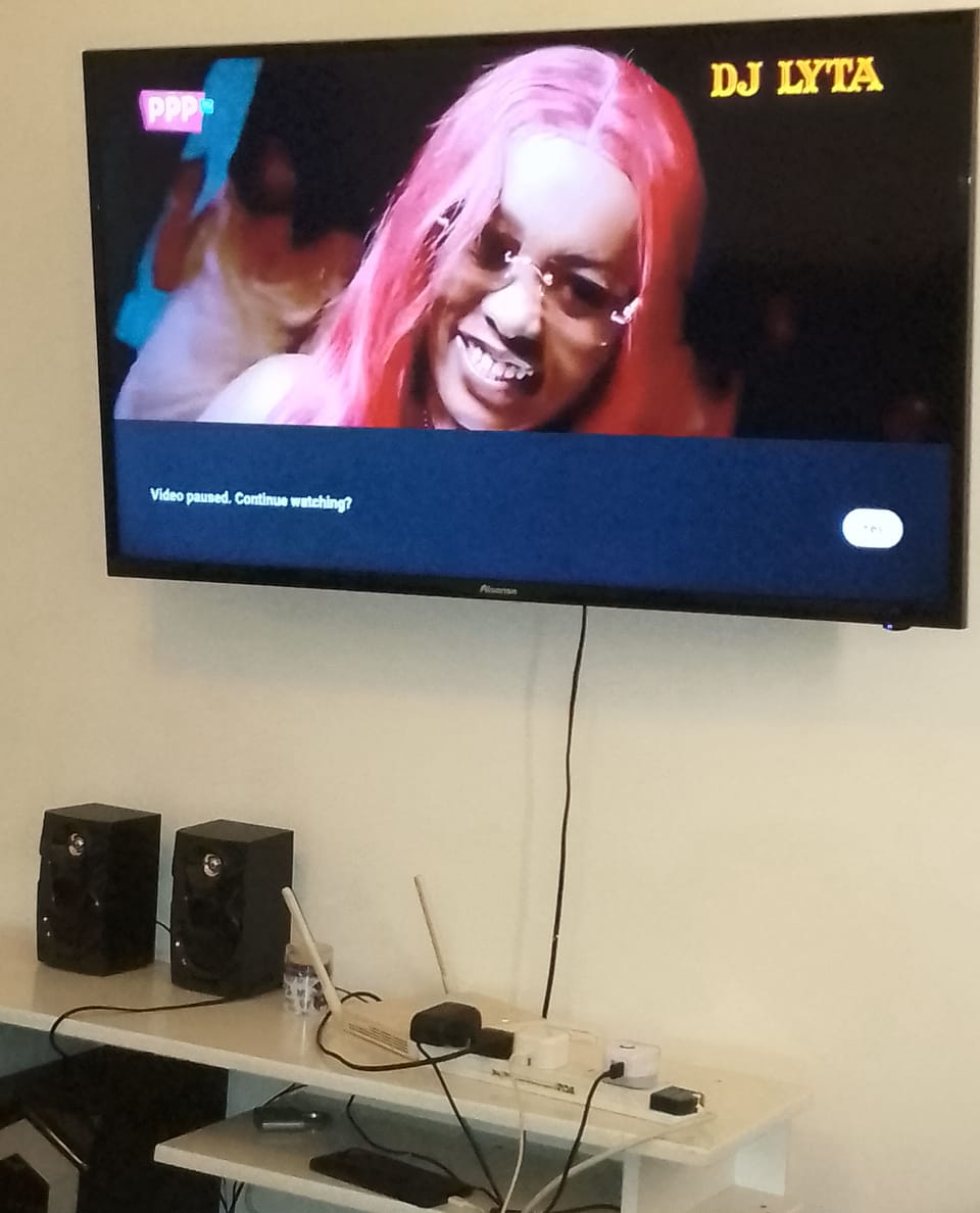 Television