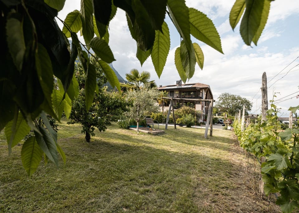 The residence's shared garden