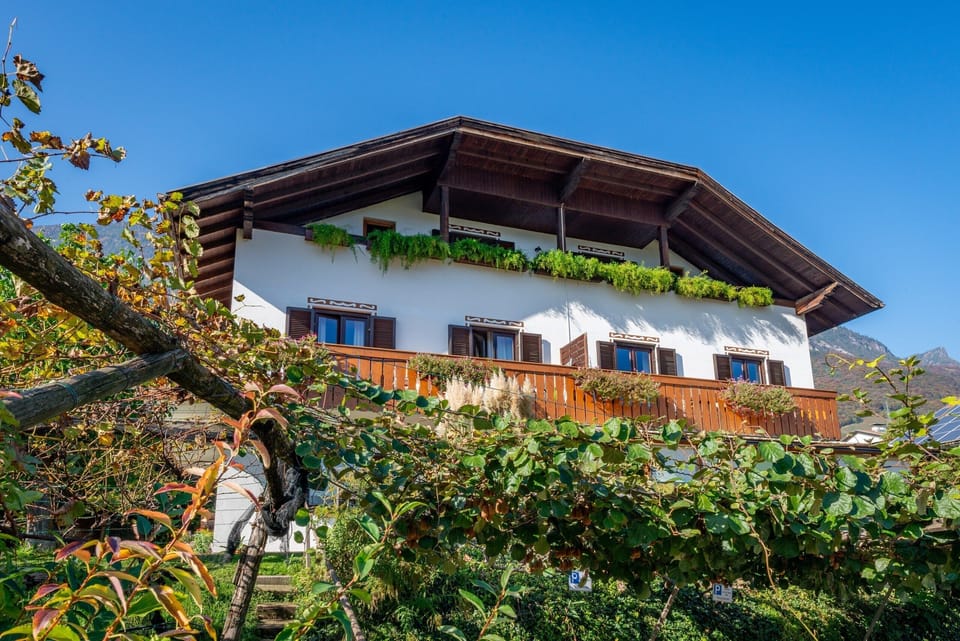 The Burgunderhof among the vines