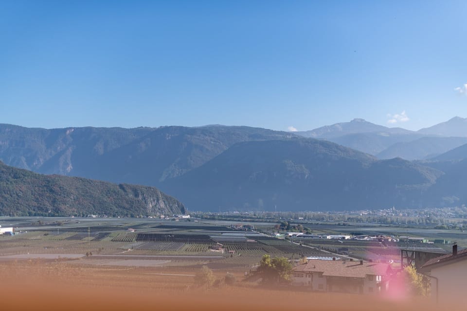 View across vineyards and valley
