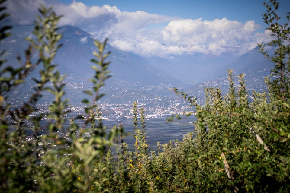 The shared garden with its panoramic view