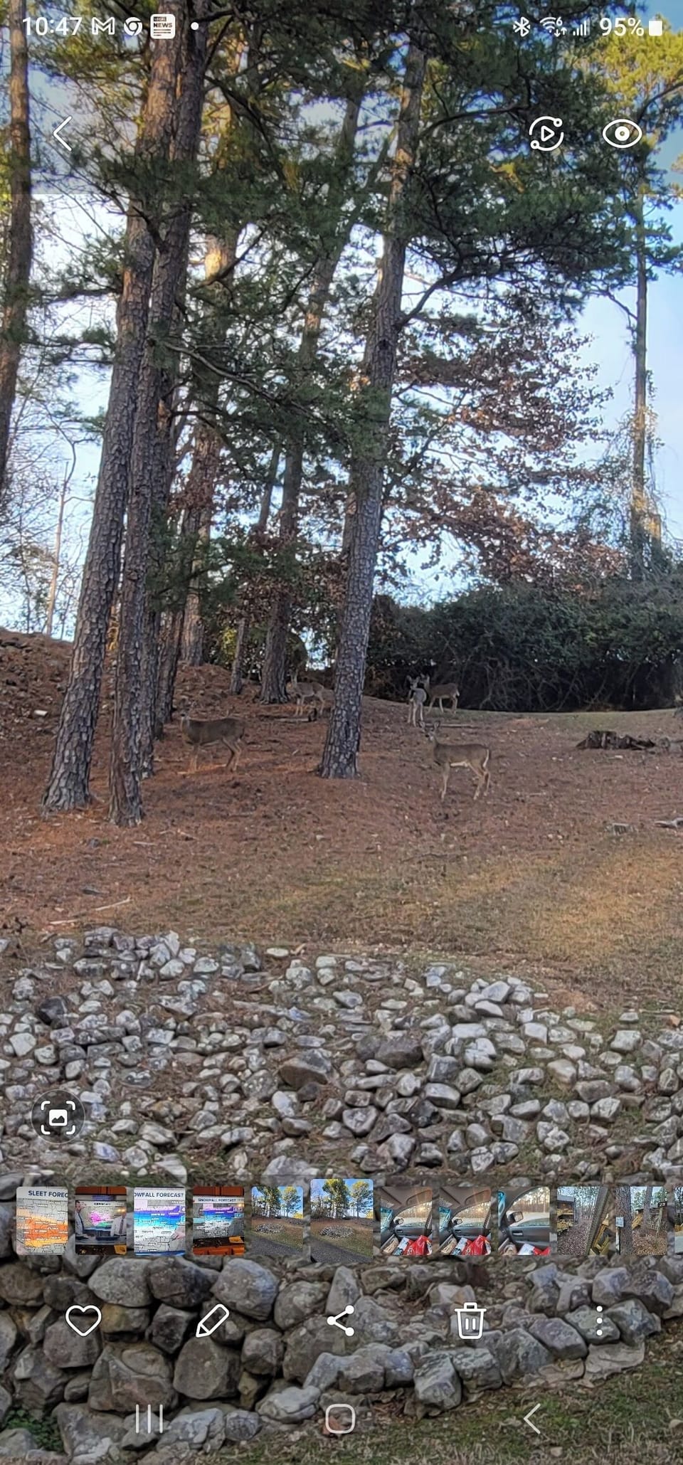 Miscellaneous