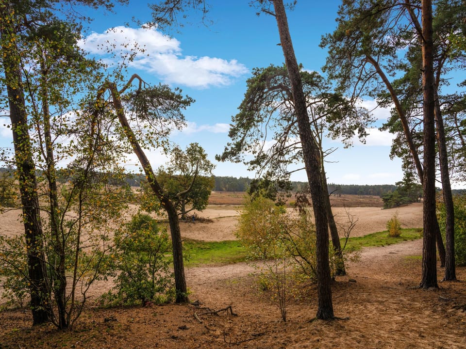 Surroundings [summer] (1-5 km)