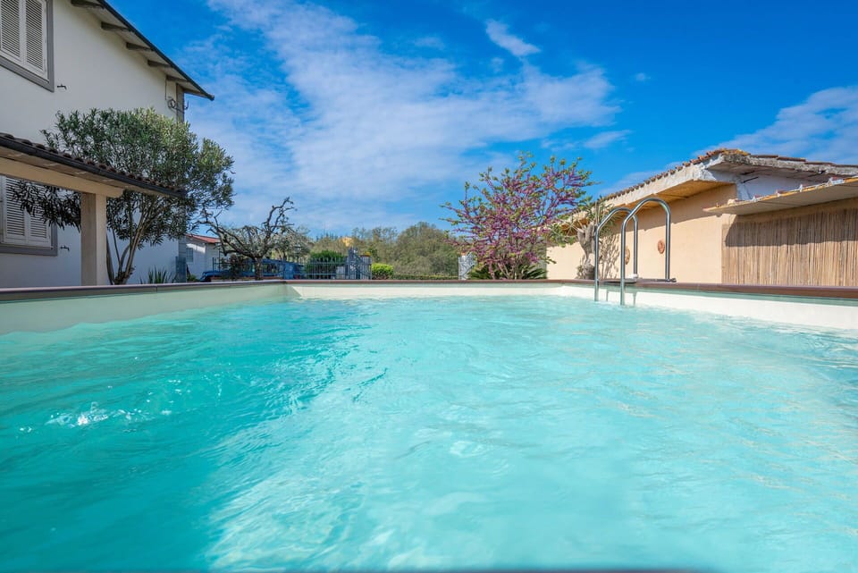 Autumn, Pool, Spring, Summer