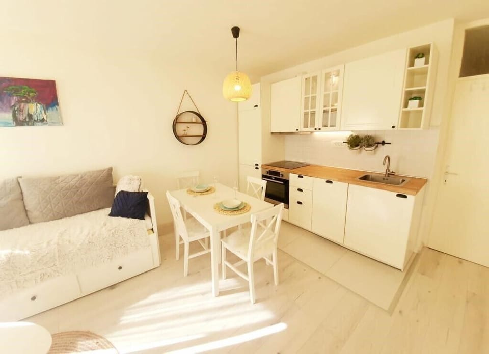 Living room with sofa bed for two guests. 
