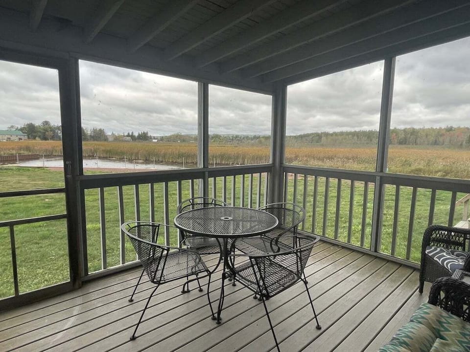 Screened in porch