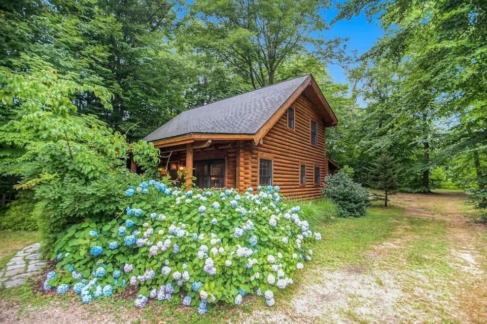 Parking area and cabin.