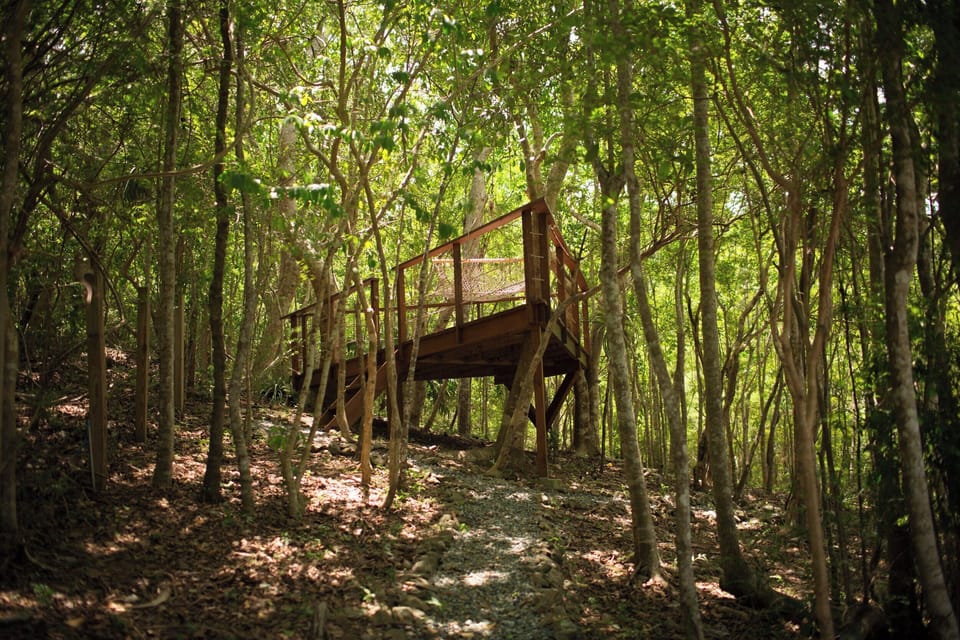Outdoor sitting area with hammock in yard with lush trees