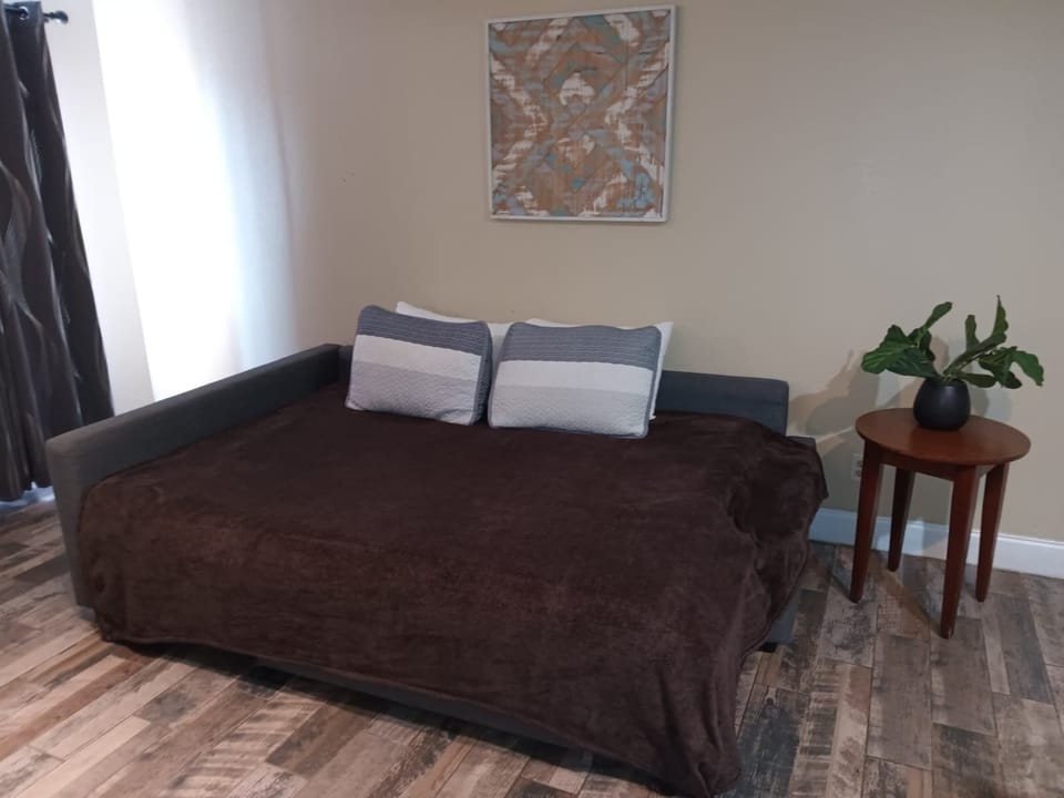 Cozy sofa bed and a new smart TV with all your favorite streaming apps.