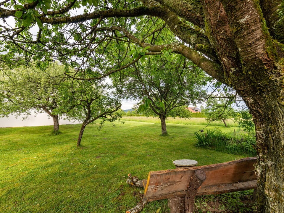 Branch, Grass, Tree, Leaf, Nature, Green, Grassland, Natural Landscape, Plain, Twig