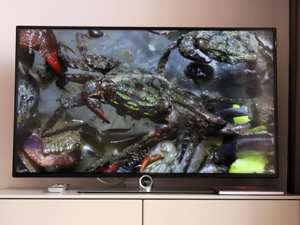 Television