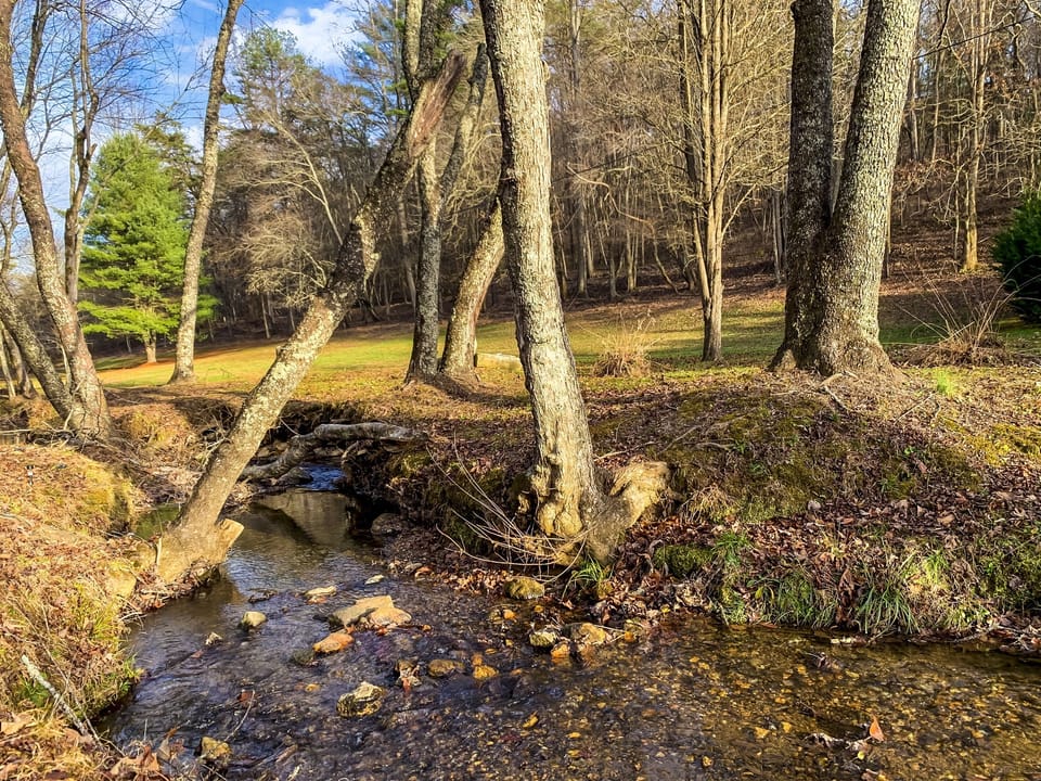 Creek-2