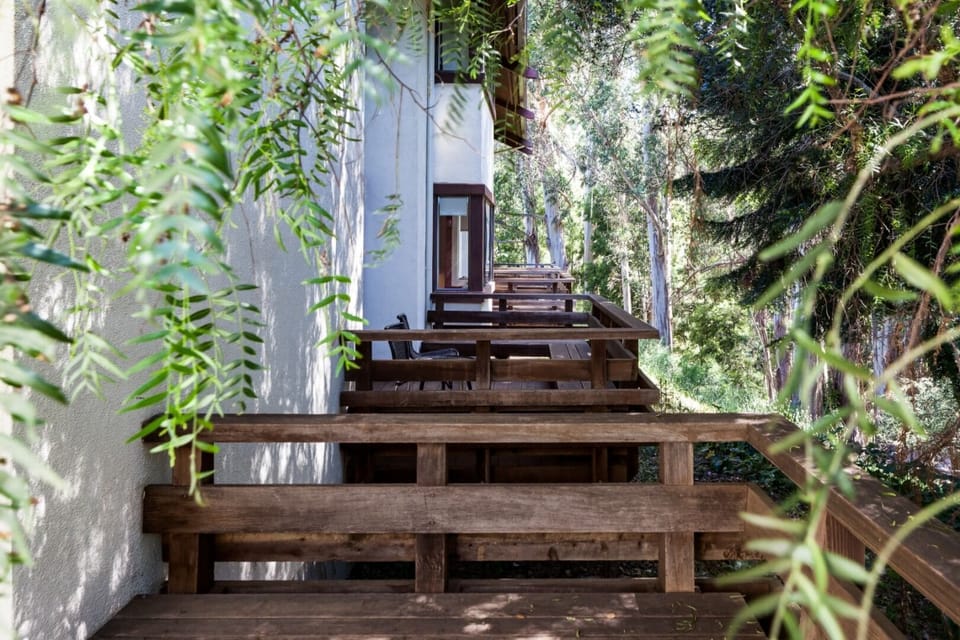 Sip coffee outdoors surrounded by tranquil trees and fresh air.