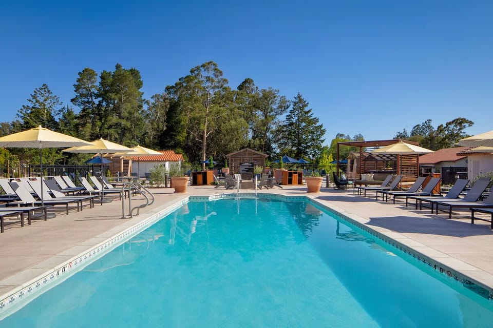 Dive into a refreshing swim with serene tree-lined views.