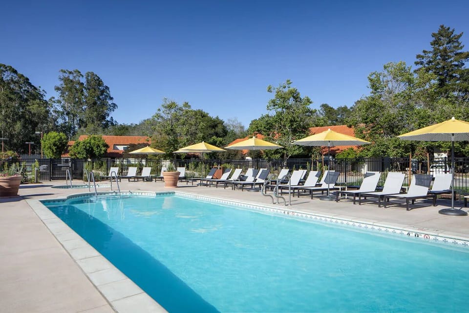 Soak up sunshine beside the sparkling lap pool and loungers.