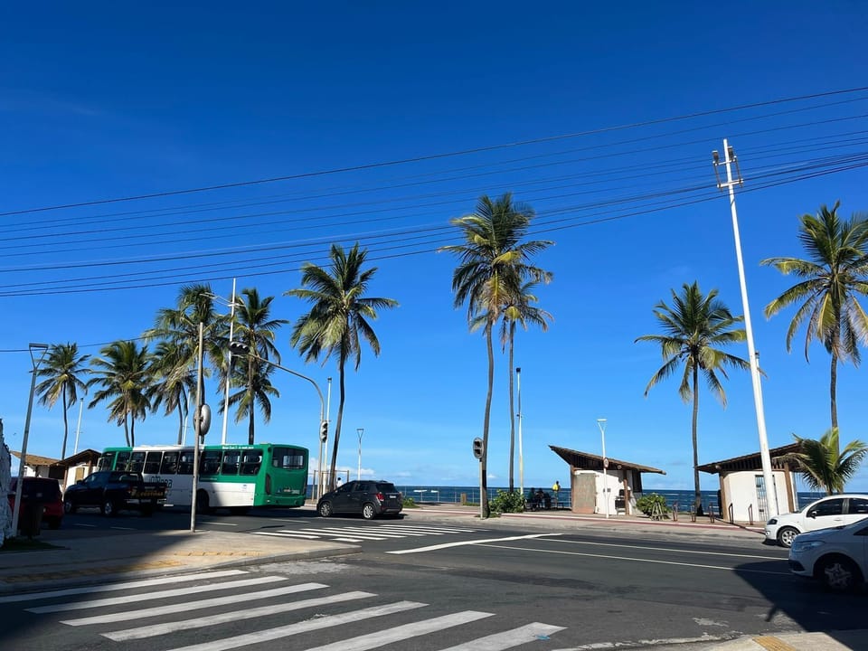 Vida na praia