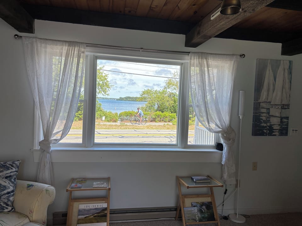 Living room view to the Cape Cod Rail Trail (bike path) and Long Pond!