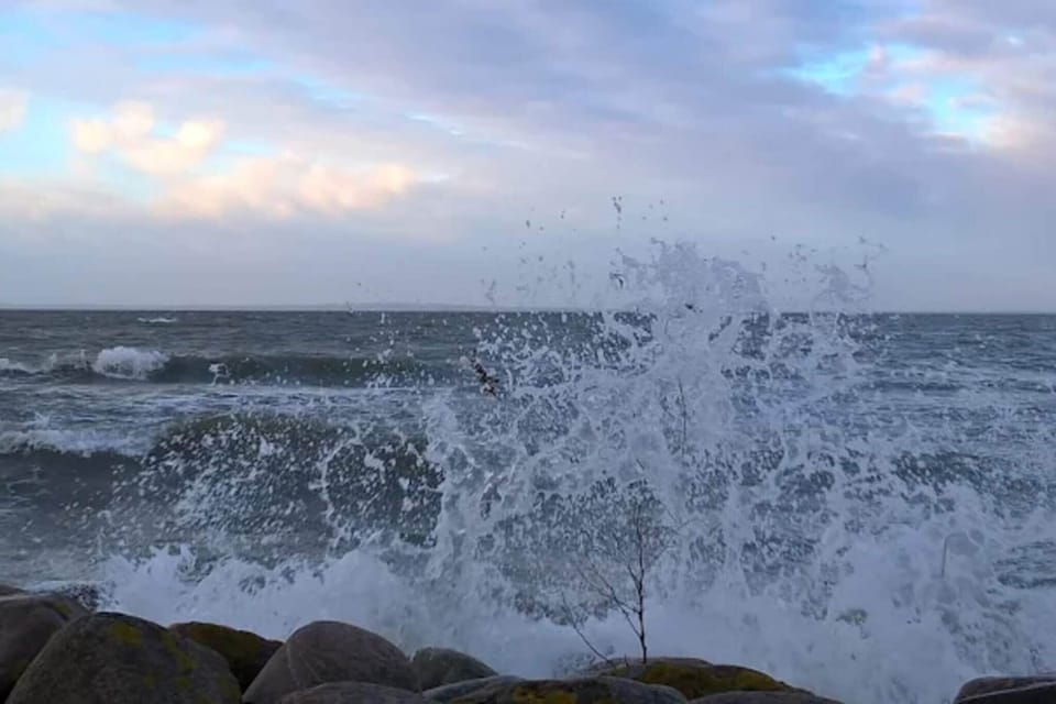 Water view