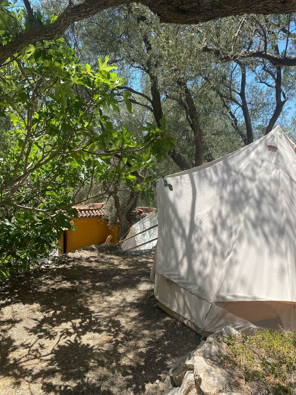 Outside the bell tents