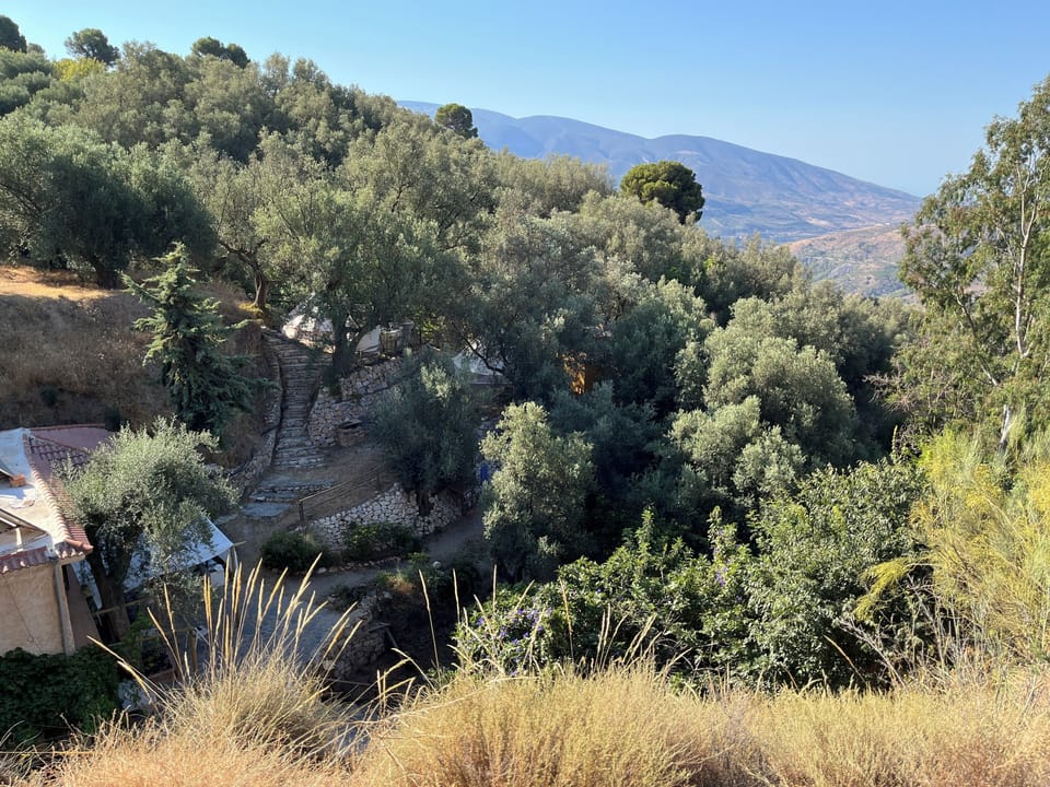 View from above