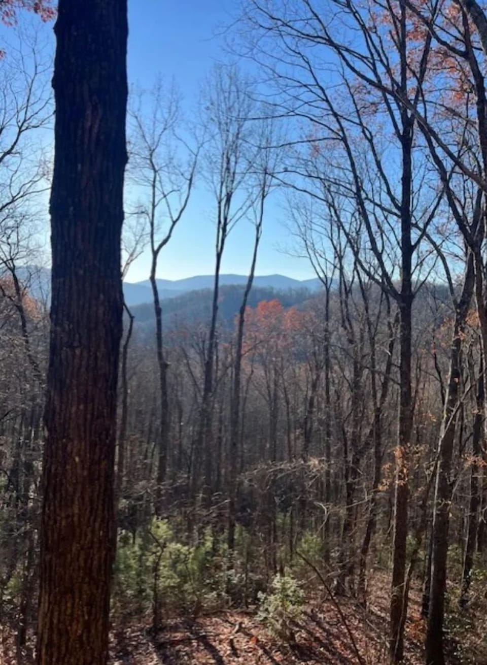 View from Porch