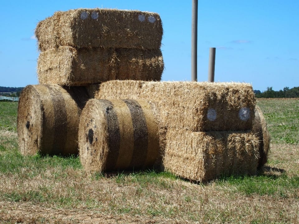 Playful adventures with hay bales