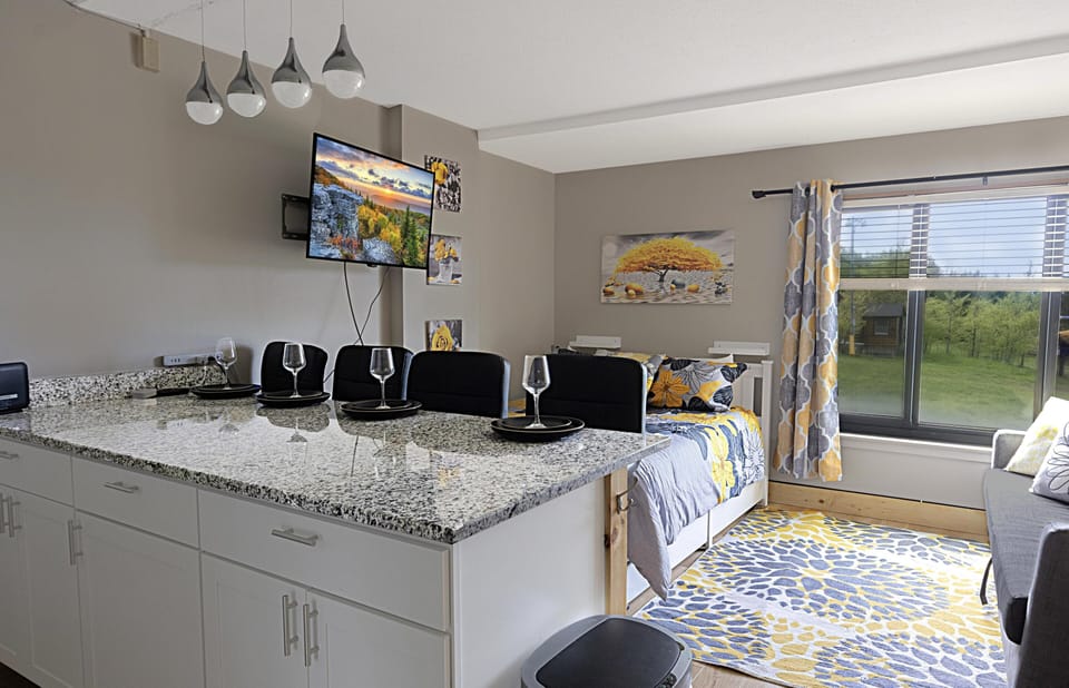 Welcome to Silver Creek 2204 – Your newly renovated mountain retreat awaits! Experience comfort, style, and adventure all in one unforgettable stay!