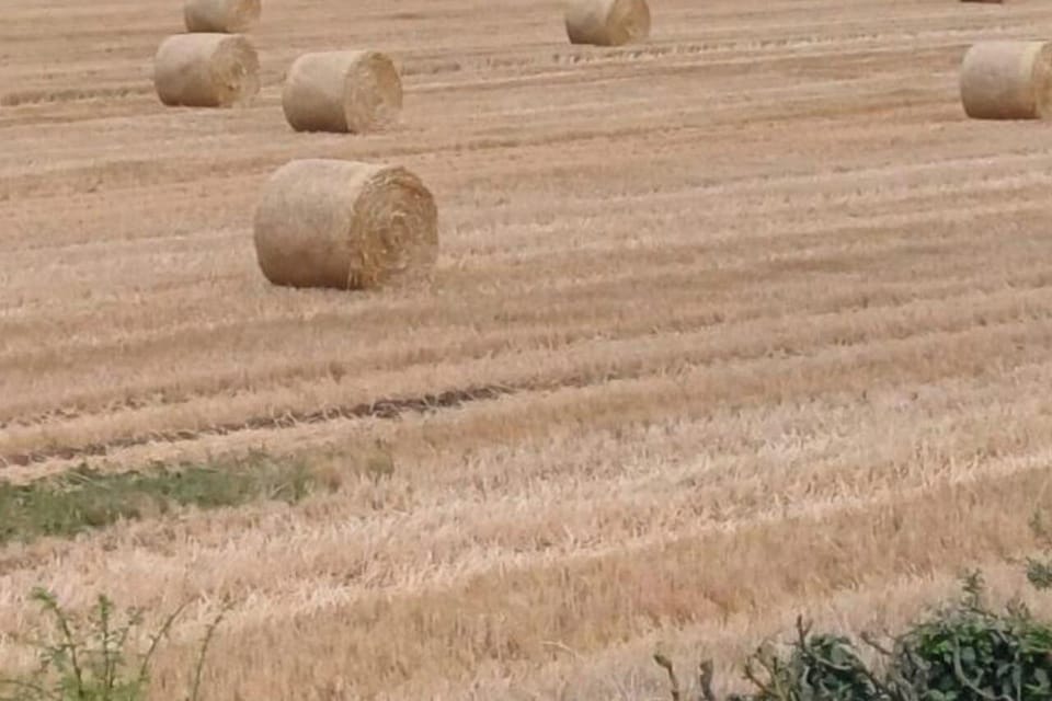 Beautiful views of the countryside.