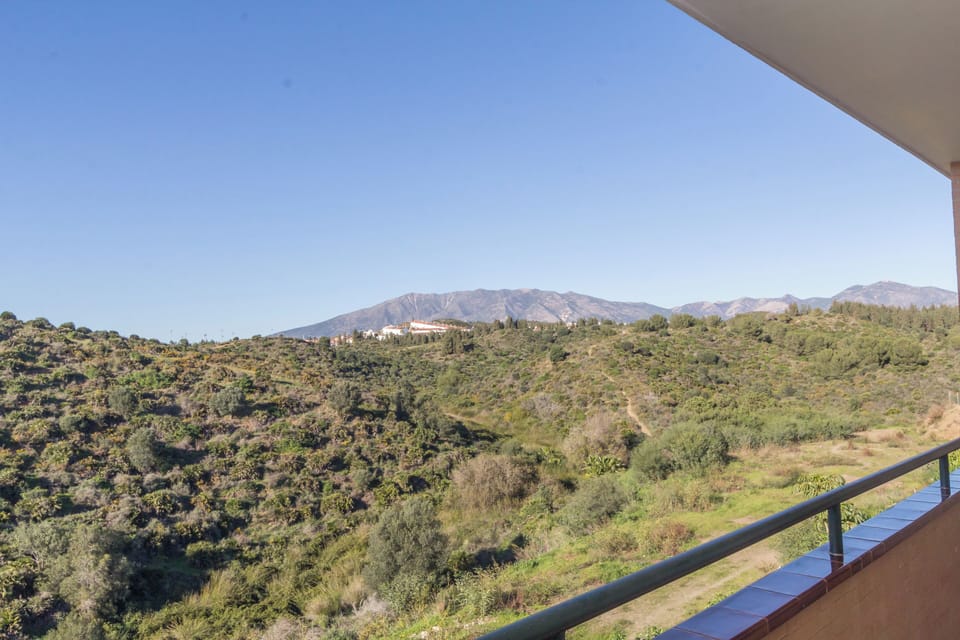 Terrace view