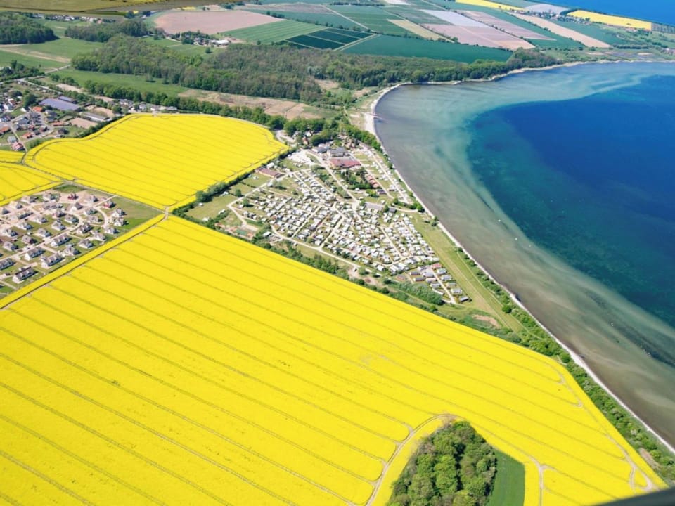 Immediate Surroundings [summer] (<1 km)