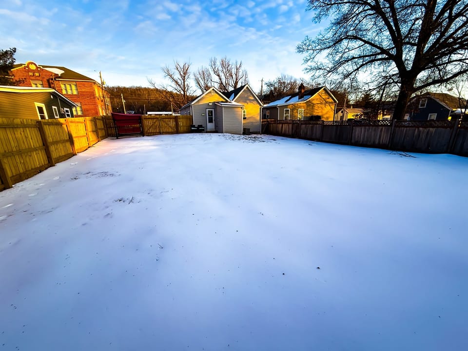 Snowy Back Yard
