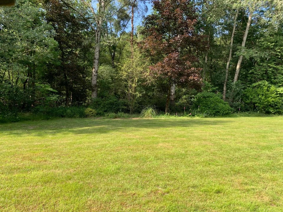 Garden [summer]